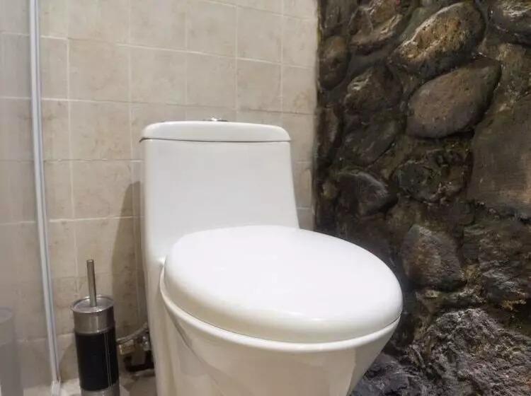 هتل Boutique Don Porfirio