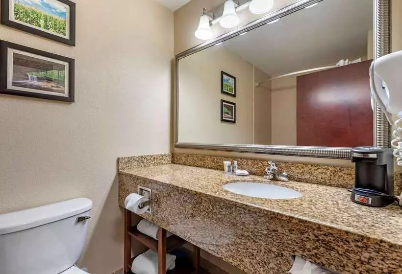 ホテル Comfort Inn & Suites