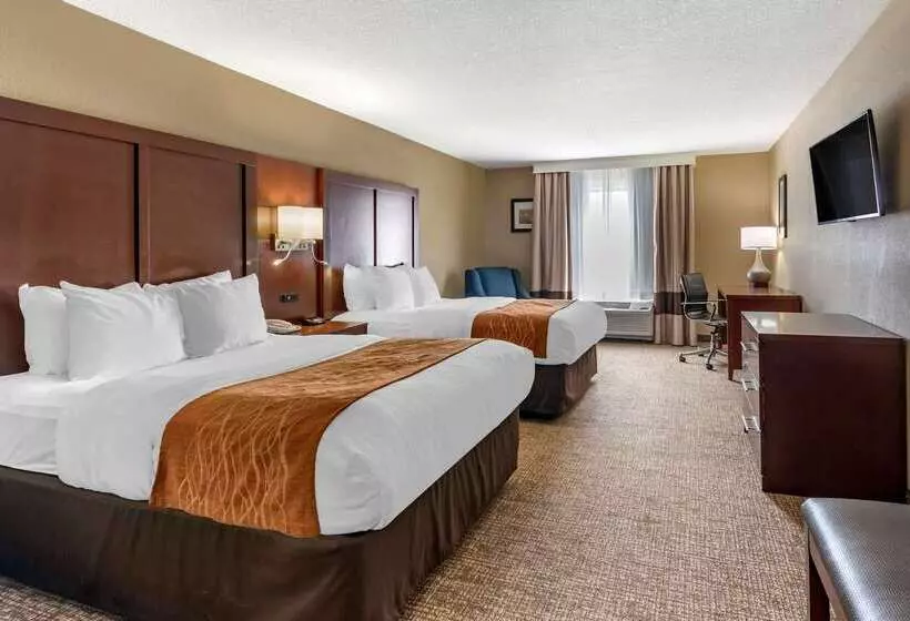 ホテル Comfort Inn & Suites