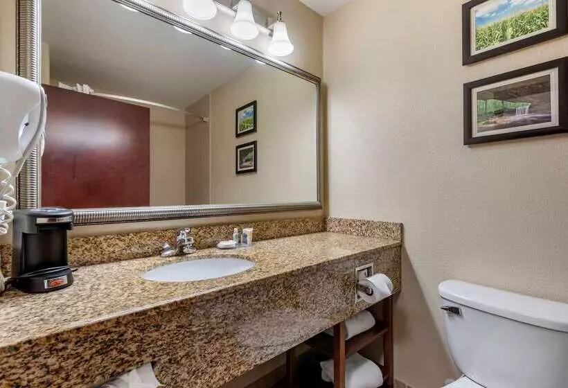 ホテル Comfort Inn & Suites