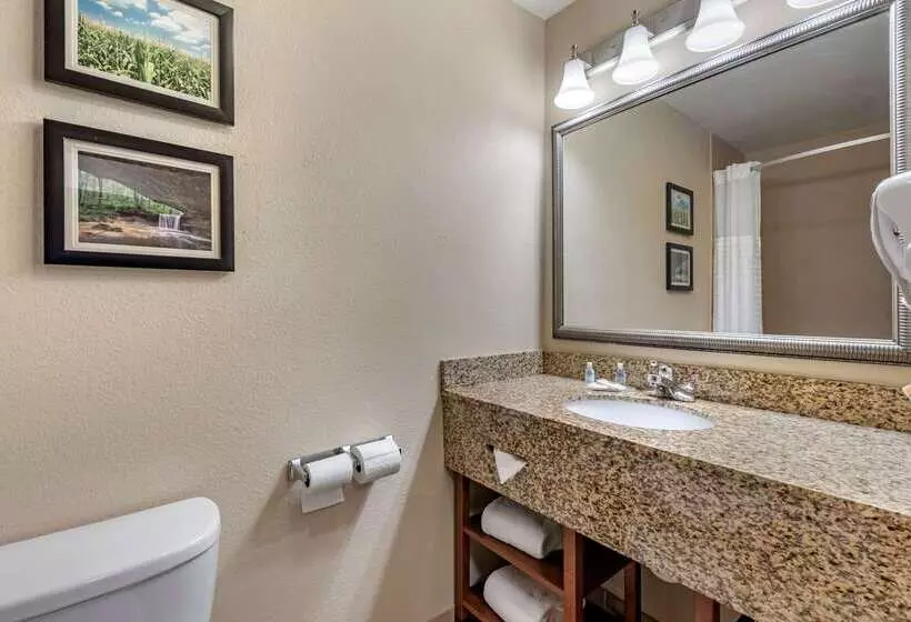 ホテル Comfort Inn & Suites