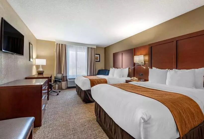ホテル Comfort Inn & Suites