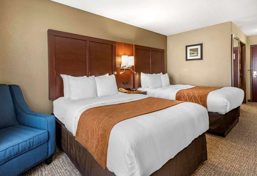 호텔 Comfort Inn & Suites