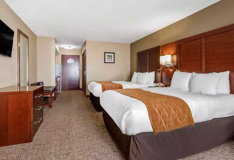 ホテル Comfort Inn & Suites