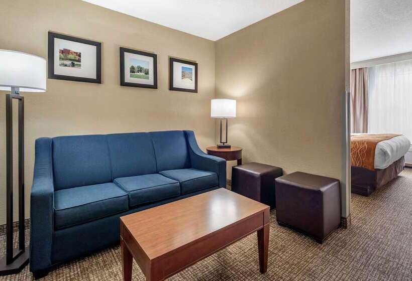 호텔 Comfort Inn & Suites
