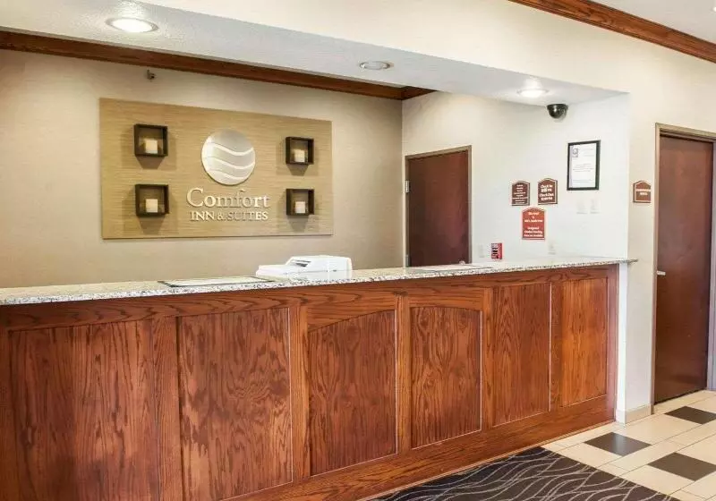 ホテル Comfort Inn & Suites