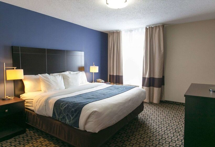 ホテル Comfort Suites Benton Harbor  St. Joseph