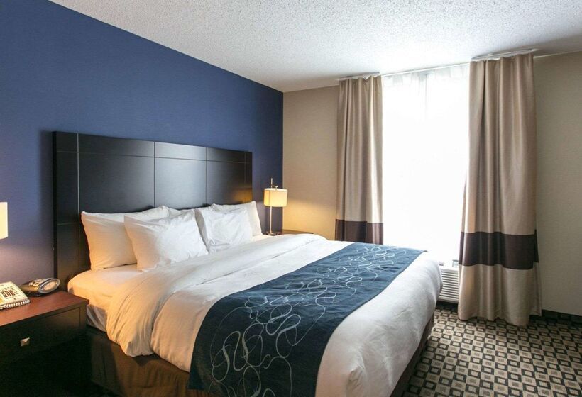 ホテル Comfort Suites Benton Harbor  St. Joseph