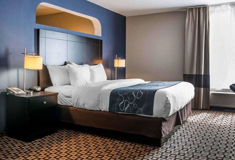 ホテル Comfort Suites Benton Harbor  St. Joseph