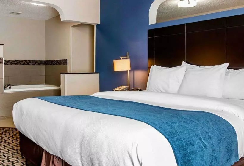 Отель Comfort Suites Benton Harbor  St. Joseph