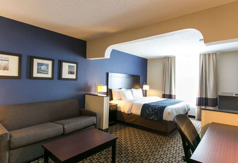 ホテル Comfort Suites Benton Harbor  St. Joseph