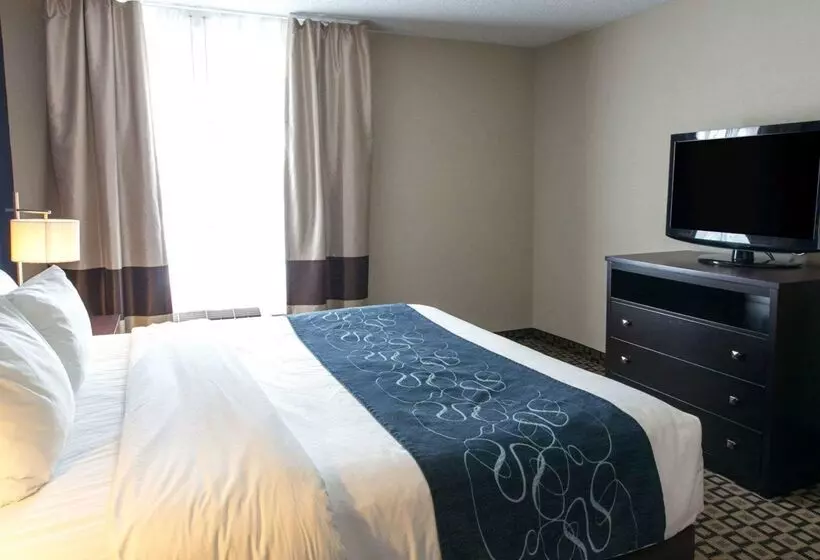 Отель Comfort Suites Benton Harbor  St. Joseph
