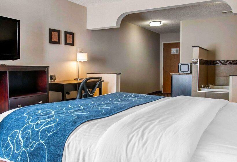 ホテル Comfort Suites Benton Harbor  St. Joseph