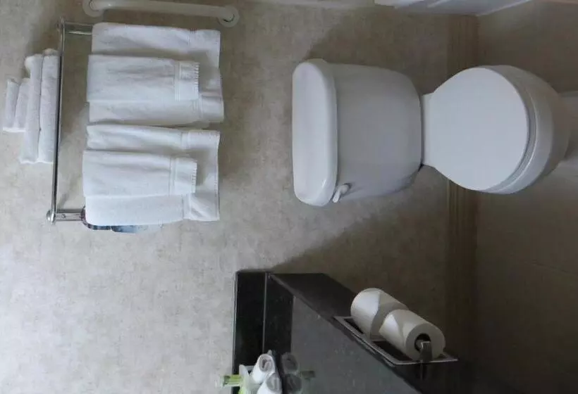 ホテル Holiday Inn Express And Suites Sikeston, An Ihg