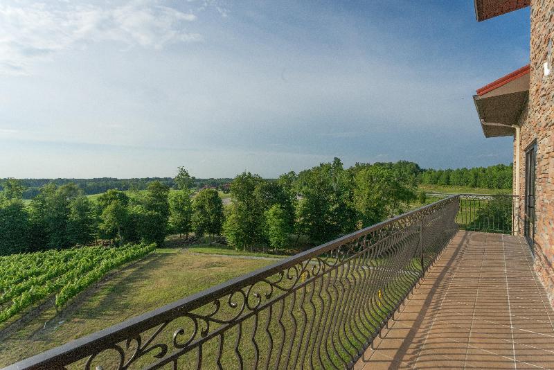 ホテル Holiday Inn Express & Suites Lexington North West The Vineyard, An Ihg