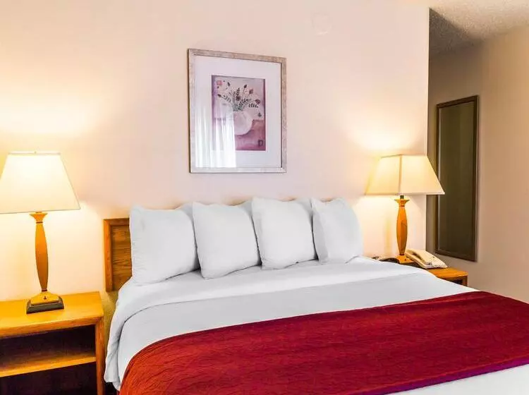 Отель Quality Inn & Suites Golden Denver West