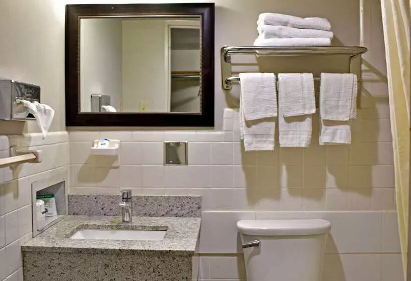 ホテル Rodeway Inn Hot Springs National Park Area