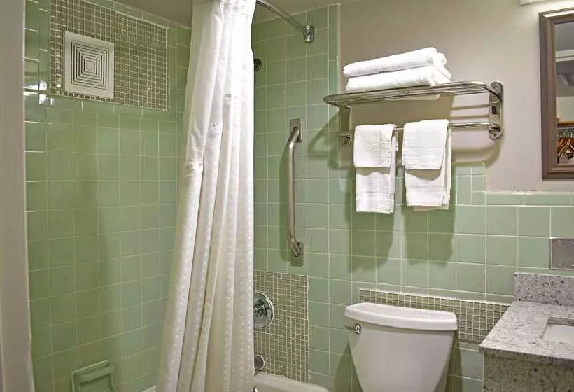 ホテル Rodeway Inn Hot Springs National Park Area