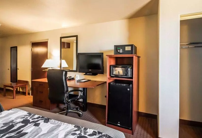 酒店 Sleep Inn & Suites