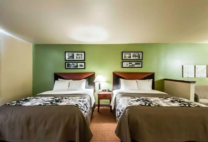 酒店 Sleep Inn & Suites