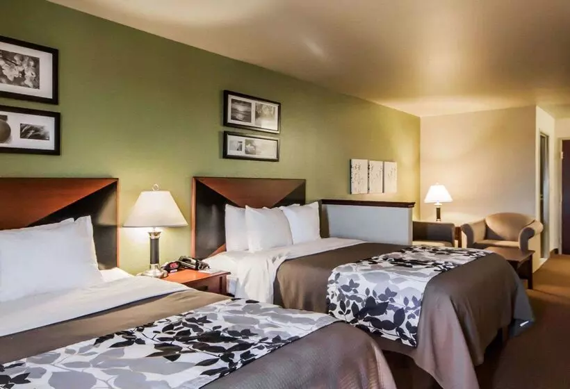 酒店 Sleep Inn & Suites