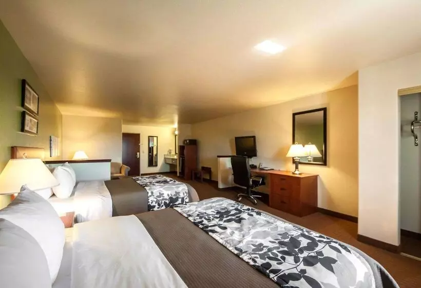 酒店 Sleep Inn & Suites