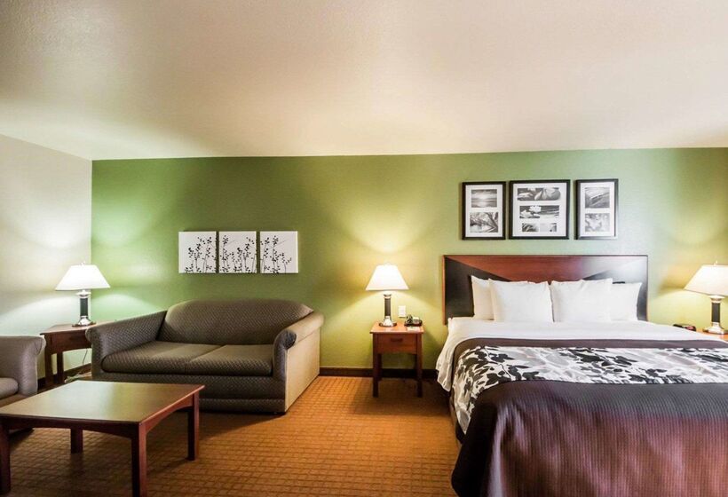 Отель Sleep Inn & Suites