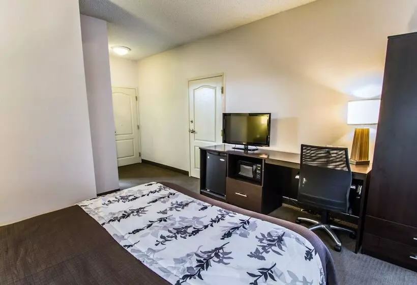 ホテル Sleep Inn At Pga Village