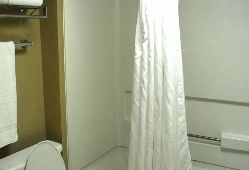 Surestay Plus Hotel By Best Western Roanoke Rapids I 95