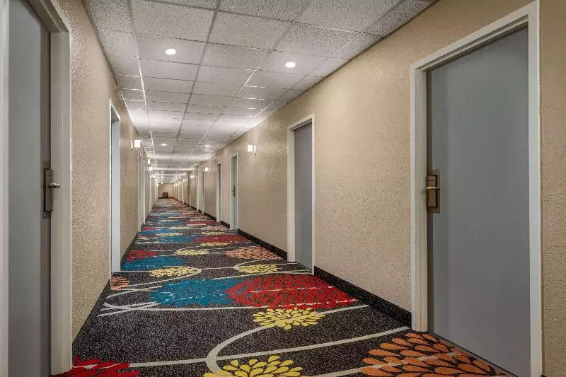 汽车旅馆 Super 8 By Wyndham Gainesville Tx