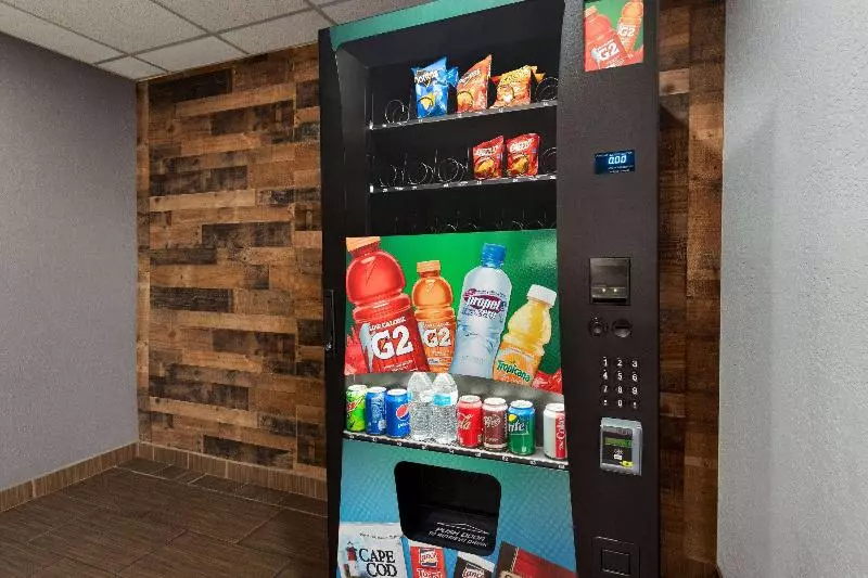 汽车旅馆 Super 8 By Wyndham Gainesville Tx