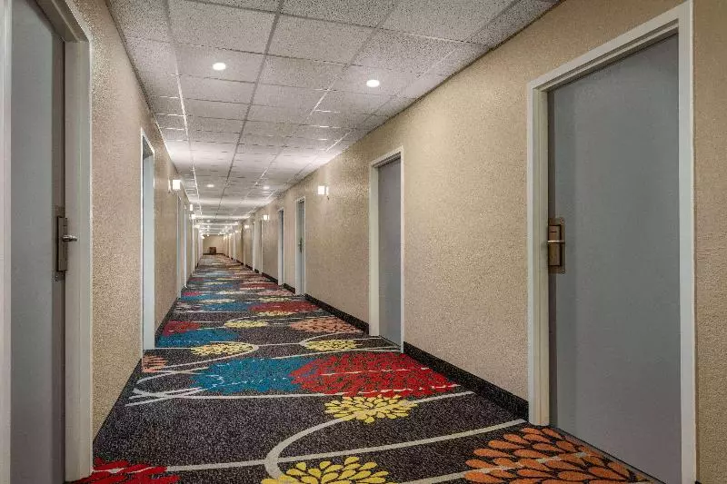 汽车旅馆 Super 8 By Wyndham Gainesville Tx