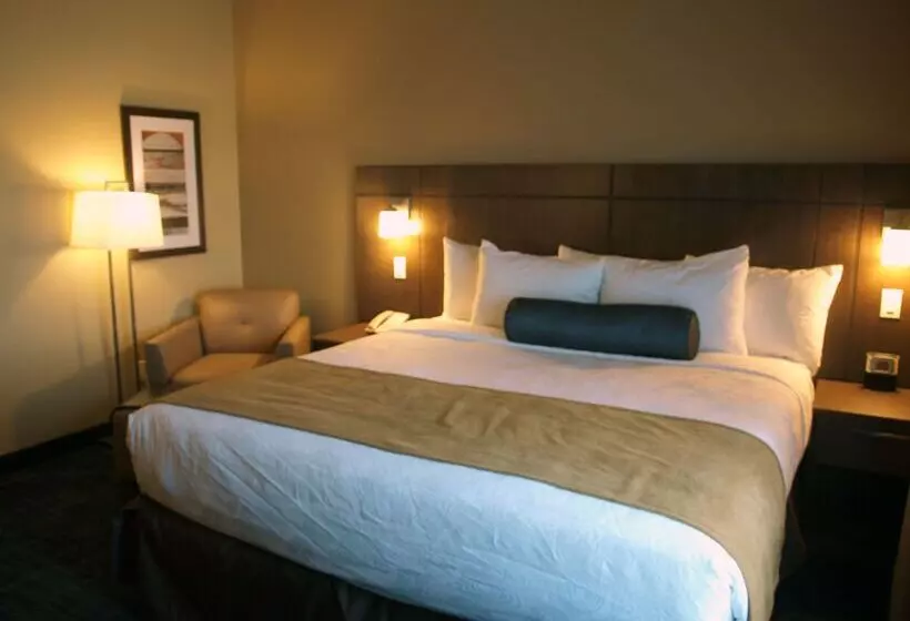 هتل Best Western Plus Winnipeg West
