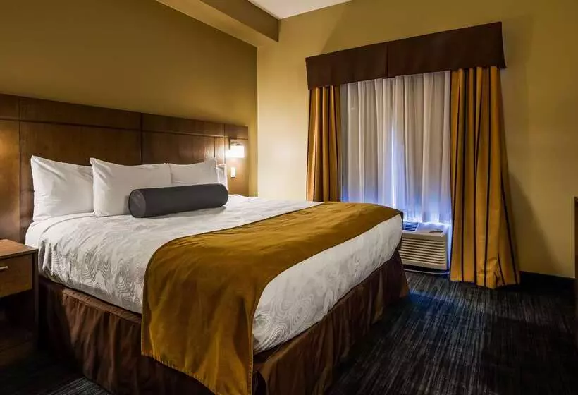 هتل Best Western Plus Winnipeg West