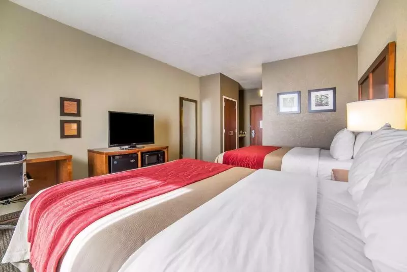 ホテル Comfort Inn & Suites