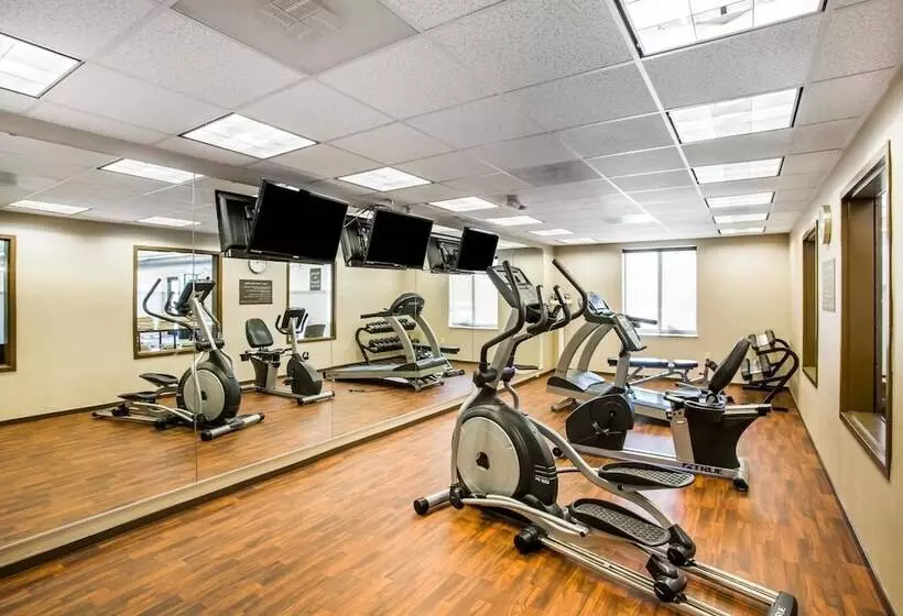 ホテル Comfort Inn & Suites