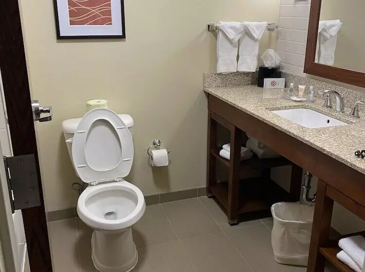 ホテル Comfort Inn & Suites