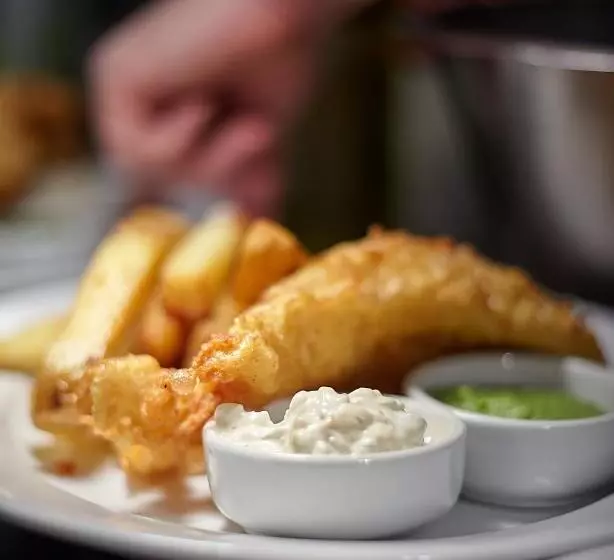 酒店 Dartington Hall