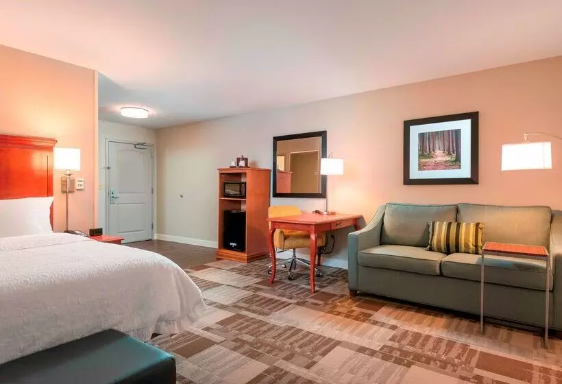 Отель Hampton Inn Bellevue