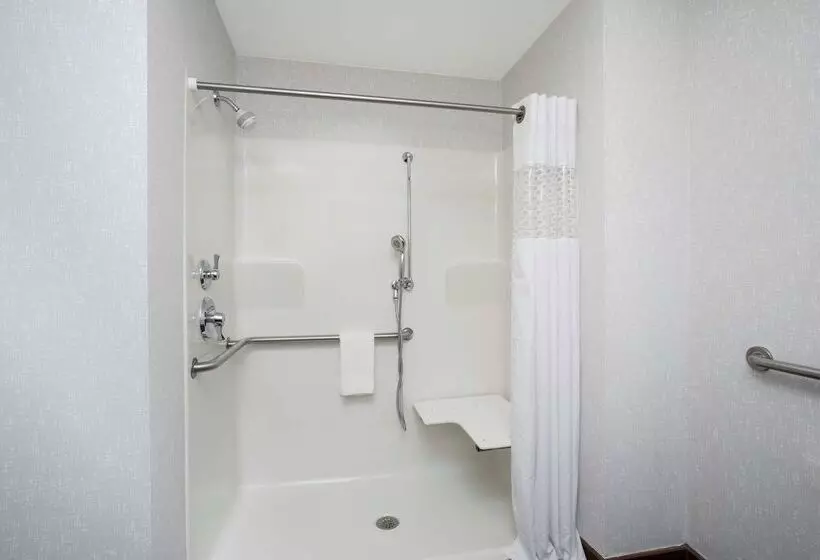 Отель Hampton Inn Bellevue