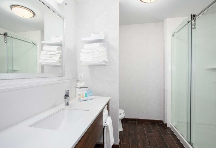 فندق Hampton Inn Bellevue