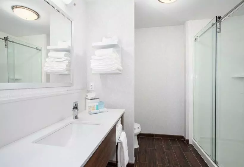 Отель Hampton Inn Bellevue