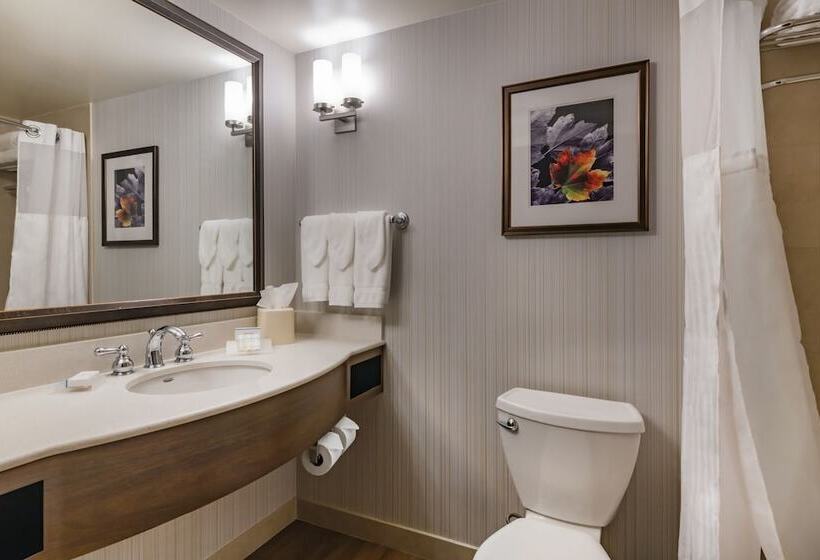 Отель Hilton Garden Inn Devens Common