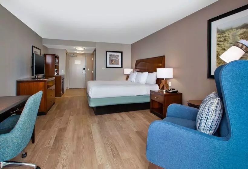 ホテル Hilton Garden Inn Virginia Beach Oceanfront