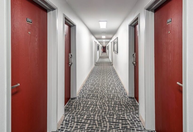 مُتل Red Roof Inn St George Ut Convention Center