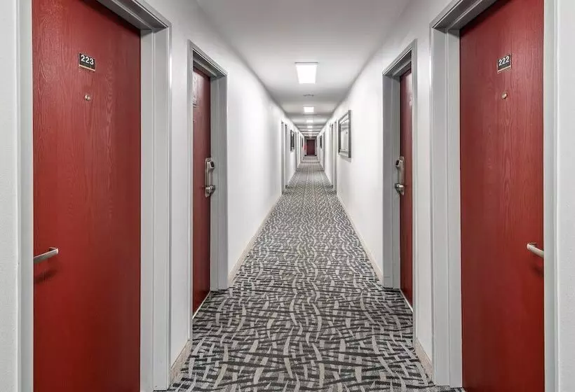 Motel Red Roof Inn St George Ut  Convention Center