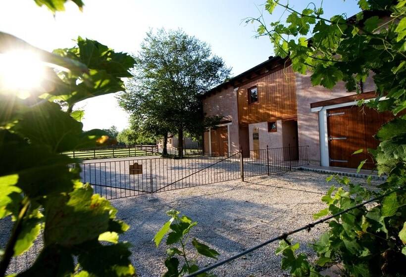 Al Segnavento Fiori&frutti