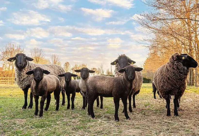 Al Segnavento   Fiori&frutti