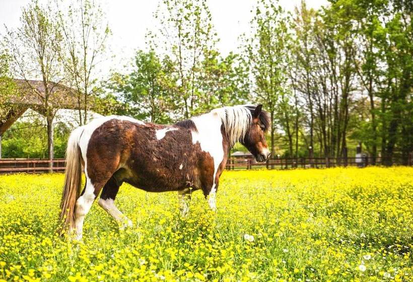 Al Segnavento Fiori&frutti