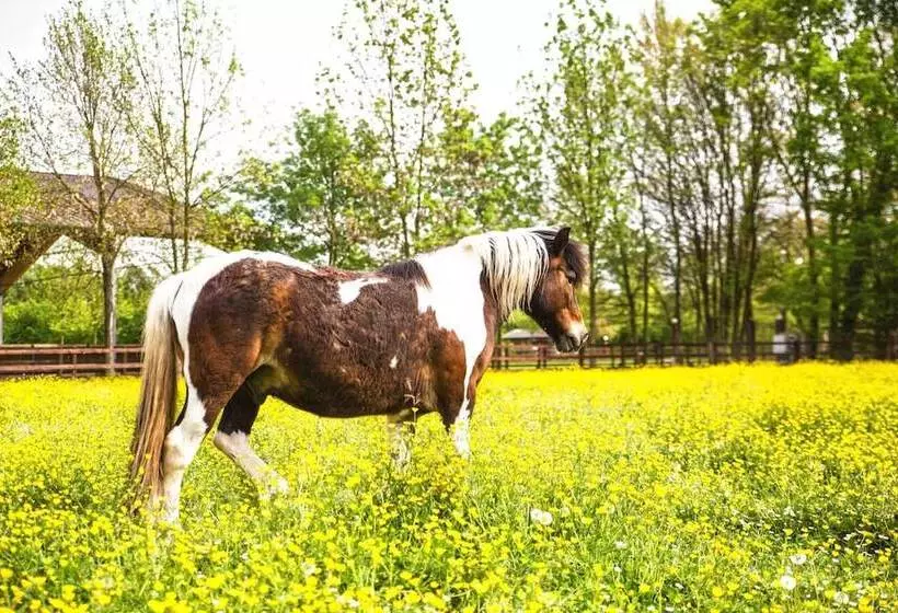 Al Segnavento   Fiori&frutti